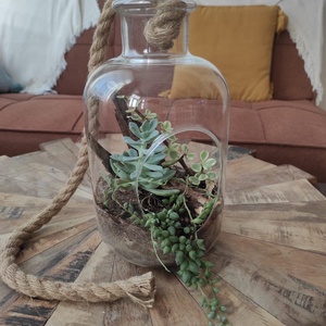 Bohém Sivatagi Kert � Függeszthető üvegterrárium pozsgásokkal, Otthon & Életmód, Dekoráció, Asztal és polc dekoráció, Florárium, terrárium, , MESKA