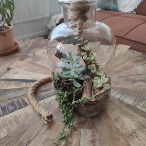 Bohém Sivatagi Kert � Függeszthető üvegterrárium pozsgásokkal - otthon & életmód - dekoráció - asztal és polc dekoráció - florárium, terrárium - Meska.hu