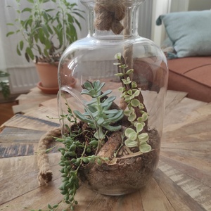 Bohém Sivatagi Kert � Függeszthető üvegterrárium pozsgásokkal - otthon & életmód - dekoráció - asztal és polc dekoráció - florárium, terrárium - Meska.hu