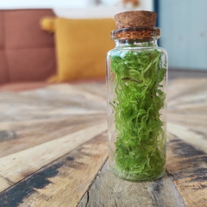 Természet-kapszula � Kézműves mini florárium ajándékkísérőnek - otthon & életmód - dekoráció - asztal és polc dekoráció - florárium, terrárium - Meska.hu