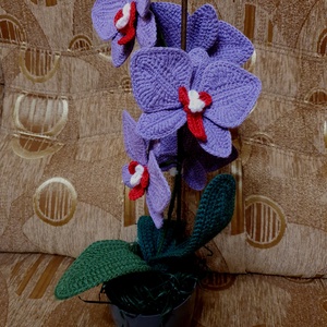 Horgolt  Orchidea - otthon & életmód - dekoráció - ajtó- és ablak dekoráció - ablakdísz - Meska.hu