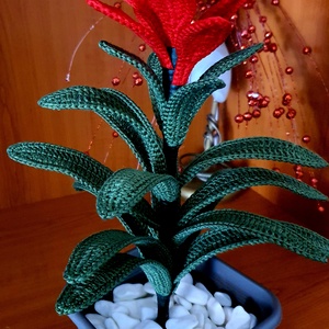 Horgolt Bromelia virág - otthon & életmód - dekoráció - virágdísz és tartó - csokor & virágdísz - Meska.hu