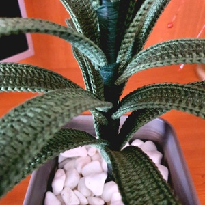 Horgolt Bromelia virág - otthon & életmód - dekoráció - virágdísz és tartó - csokor & virágdísz - Meska.hu