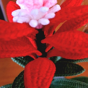 Horgolt Bromelia virág - otthon & életmód - dekoráció - virágdísz és tartó - csokor & virágdísz - Meska.hu