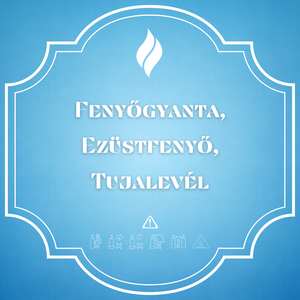 Xmas tales - XT - otthon & életmód - gyertya, illat, aroma - gyertya - Meska.hu
