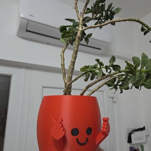 Szeretetet sugárzó, 3D nyomtatott kaspó - Meska.hu