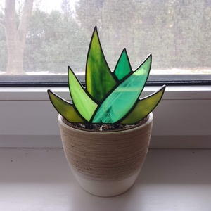 Gondozásmentes Aloe vera tiffany dekor Nőnapra, Otthon & Életmód, Virágdekoráció, Virágdíszek, Asztali virágdísz, Üvegművészet, MESKA