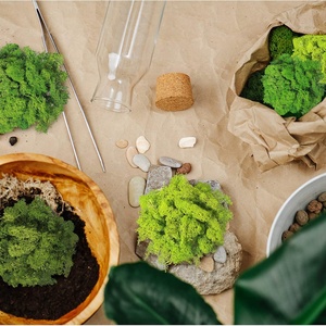 Izlandi zuzmó moha valódi tartósított 500 g moss alapanyag nr.002 - otthon & életmód - dekoráció - asztal és polc dekoráció - dekorációs tál, tartó - Meska.hu