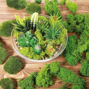Izlandi zuzmó moha valódi tartósított 500 g moss alapanyag nr.002 - otthon & életmód - dekoráció - asztal és polc dekoráció - dekorációs tál, tartó - Meska.hu