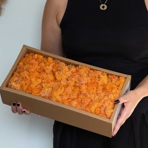 Izlandi zuzmó moha valódi tartósított 500 g moss alapanyag nr.002 - otthon & életmód - dekoráció - asztal és polc dekoráció - dekorációs tál, tartó - Meska.hu