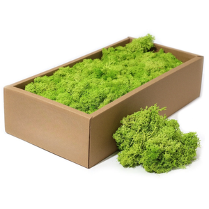 Izlandi zuzmó moha valódi tartósított 500 g moss alapanyag nr.002 - otthon & életmód - dekoráció - asztal és polc dekoráció - dekorációs tál, tartó - Meska.hu