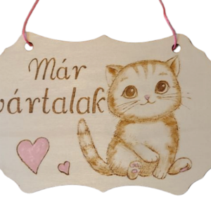 Gyerekszoba ajtóra, Otthon & Életmód, Babaszoba, gyerekszoba, Gyerek névtábla, Gravírozás, pirográfia, Festészet, MESKA
