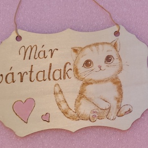 Gyerekszoba ajtó tábla , Otthon & Életmód, Dekoráció, Ajtó- és ablak dekoráció, Ajtótábla, Festett tárgyak, Gravírozás, pirográfia, MESKA