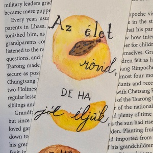 Barackos könyvjelző - könyv & zene - könyvjelző - Meska.hu