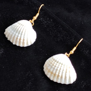 Kagyló fülbevaló  - ékszer - fülbevaló - lógó fülbevaló - Meska.hu