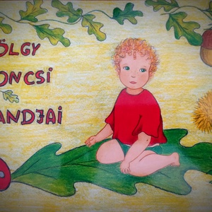 Altatókönyv: Tölgy Toncsi , Játék & Sport, Készségfejlesztő és Logikai játék, Montessori szivárvány, Waldorf játékok, , MESKA