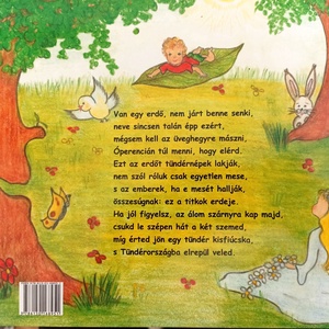 Mesekönyv Tölgy Toncsi  - játék & sport - textilkönyv & babakönyv - Meska.hu