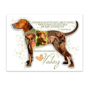 Fotókollázs vizsla sziluettel. Vizslás fotókollázs kutyád képeivel. Magyar vizsla. Német vizsla. Pointer. - művészet - kollázs - Meska.hu