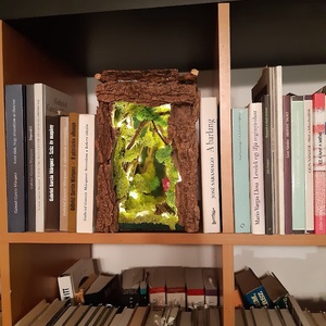 Könyvkuckó, Book Noot, Diorama, Varázserdő - otthon & életmód - dekoráció - asztal és polc dekoráció - zuzmódekoráció, mohadekoráció - Meska.hu