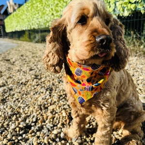 Séta az őszben bandana/kendő kutyáknak, , Varrás, MESKA