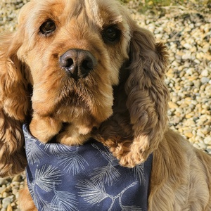 Csendes éj karácsonyi bandana/kendő kutyáknak -  - Meska.hu