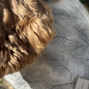 Hajnali harmat karácsonyi bandana/kendő kutyáknak -  - Meska.hu