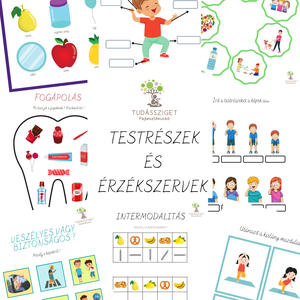 Testrészek és érzékszervek, Játék & Sport, Készségfejlesztő és Logikai játék, Oktató játékok, Fotó, grafika, rajz, illusztráció, MESKA