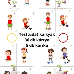 Testtudat kártyák, Játék & Sport, Készségfejlesztő és Logikai játék, Oktató játékok, Fotó, grafika, rajz, illusztráció, MESKA
