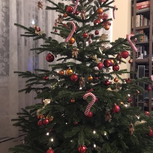 cukorpálca,- karácsonyfa dísz, dekoráció - karácsony - adventi díszek - adventi ablakdekoráció - Meska.hu