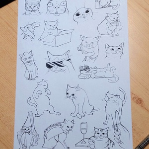 Macskás mémes matricacsomag (18db) - otthon & életmód - papír, írószer - matrica, matrica csomag - Meska.hu