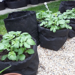 (3 db/cs) Ültető zsák paradicsom, paprika, uborka, tök, stb, és burgonya termesztéséhez/ 30 átmérőjű, 55 cm magas  /   - otthon & életmód - ház & kert - növény & veteményes - Meska.hu