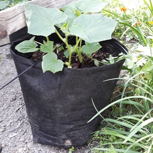 Ültető zsák 35 cm átmérőjű, 35 cm magas /  tök, padlizsán, uborka, saláta, paradicsom, stb. termesztéséhez , Otthon & Életmód, Ház & Kert, Növény & Veteményes, Varrás, MESKA