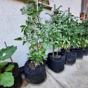 (5 db/cs) Ültető zsák 35 cm átmérőjű, 45 cm magas/ paradicsom, tök, padlizsán, uborka, saláta, stb. termesztéséhez - otthon & életmód - ház & kert - növény & veteményes - Meska.hu