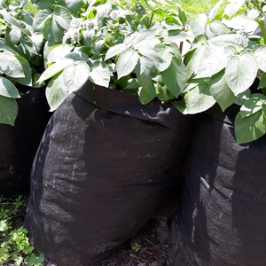 ( 5 db/cs) Ültető zsák 35 cm átmérőjű, 55 cm magas/ paradicsom, tök, padlizsán, uborka, saláta, stb. termesztéséhez - otthon & életmód - ház & kert - növény & veteményes - Meska.hu