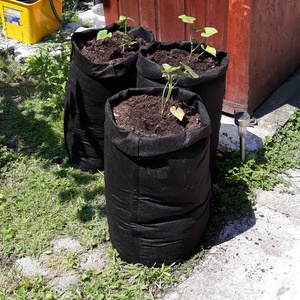 (5 db/cs) Ültető zsák 30 cm átmérőjű x 70 cm magas / burgonya és édesburgonya termesztéséhez - otthon & életmód - ház & kert - ültetőzsák - Meska.hu