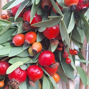 Csipkebogyó kopogtató - otthon & életmód - dekoráció - ajtó- és ablak dekoráció - ajtódísz & kopogtató - Meska.hu