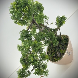 Valósághű bonsai fa - otthon & életmód - dekoráció - asztal és polc dekoráció - bonsai - Meska.hu