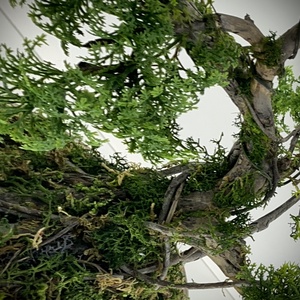 Valósághű bonsai fa - otthon & életmód - dekoráció - asztal és polc dekoráció - bonsai - Meska.hu