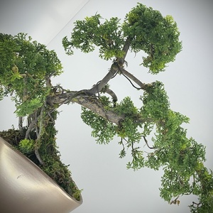 Valósághű bonsai fa - otthon & életmód - dekoráció - asztal és polc dekoráció - bonsai - Meska.hu