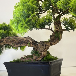 Valósághű cédrus bonsai fa - otthon & életmód - dekoráció - asztal és polc dekoráció - bonsai - Meska.hu