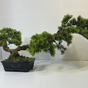 Valósághű cédrus bonsai fa - otthon & életmód - dekoráció - asztal és polc dekoráció - bonsai - Meska.hu
