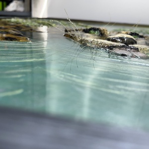 3D-s dzsungel képe, Művészet, Festmény, Festmény vegyes technika, Festészet, Gipszöntés, MESKA