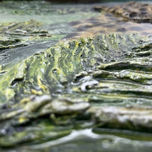 3D-s dzsungel képe - művészet - festmény - festmény vegyes technika - Meska.hu