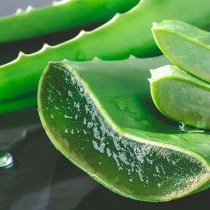 Aloe - vera szappan - szépségápolás - szappan & fürdés - kézműves szappan - Meska.hu