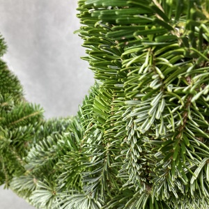 Nordmann fenyőből készült, nem potyogós, könnyűsúlyú alapra készült, dekorálható kopogtató  - karácsony - adventi díszek - adventi ajtódísz - Meska.hu