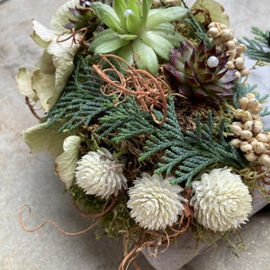 Szívalakú dekorbeton tálkába készült, 3 kövirózsás, pöttyös szalagos, fehéres fűszerezésű, egyedi kegyeleti dísz - otthon & életmód - vallás - temetkezési tárgy - sírdísz, kegyeleti dísz - Meska.hu