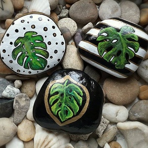 monstera festett kavics - Meska.hu