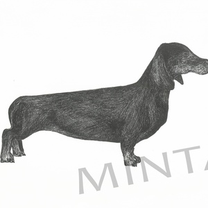 Tacskó tollrajz, Művészet, Grafika & Illusztráció, Egyéb rajzok, Fotó, grafika, rajz, illusztráció, MESKA