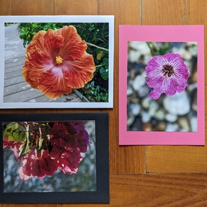 5db kinyitható képeslap saját fotóval - Természet 3. - otthon & életmód - papír, írószer - ajándékozás kellékei - képeslap, üdvözlőlap - Meska.hu