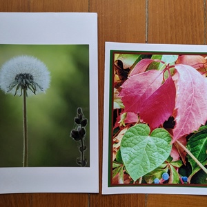 5db kinyitható képeslap saját fotóval - Természet 3. - otthon & életmód - papír, írószer - ajándékozás kellékei - képeslap, üdvözlőlap - Meska.hu